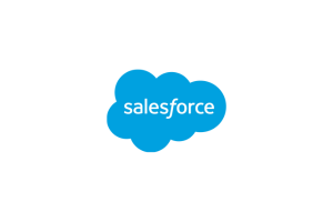Salesforce Consulting Partner
